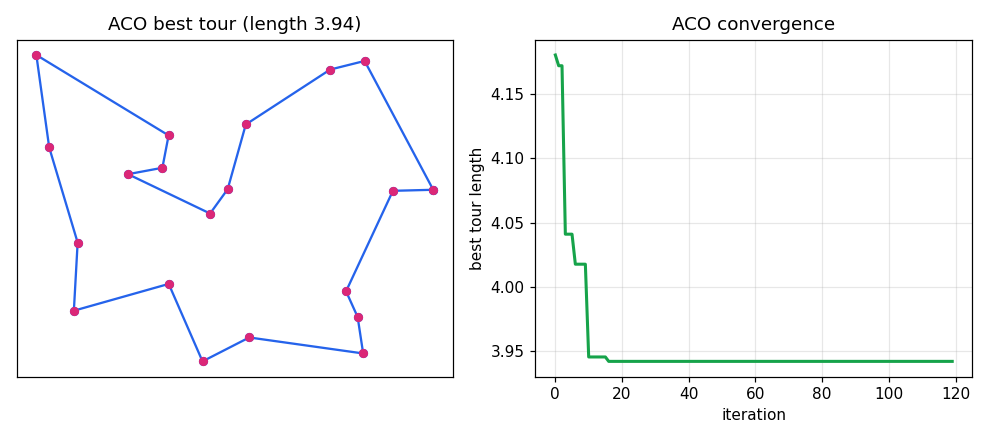 ACO for the TSP